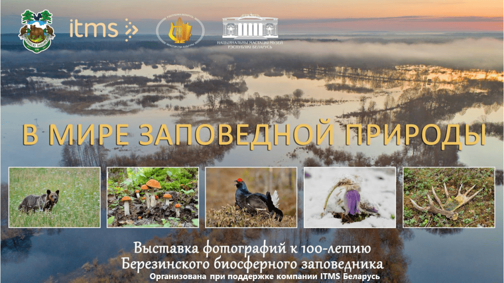 фотовыставка «В мире заповедной природы» фотовыставка «В мире заповедной природы»